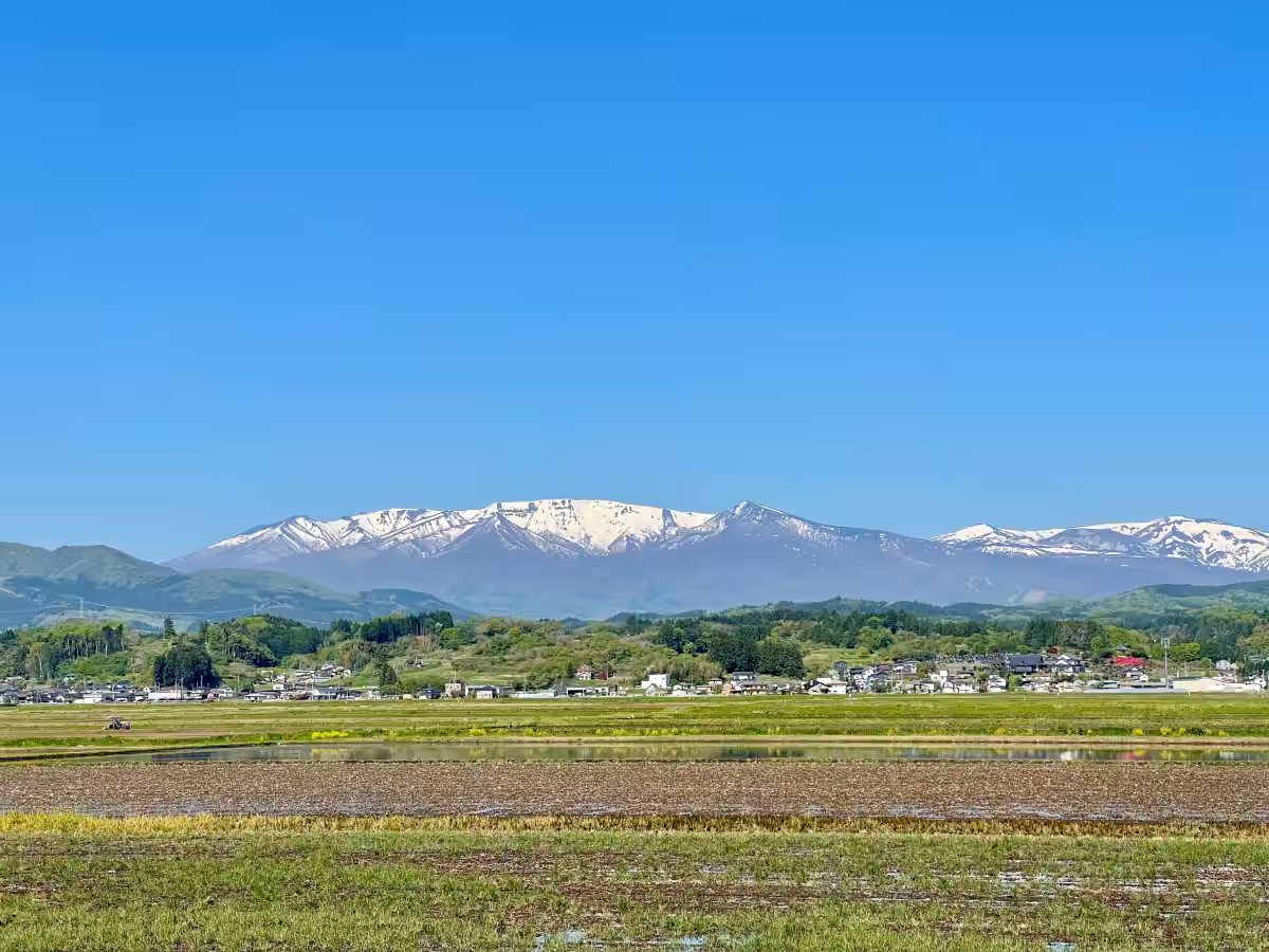 画像14