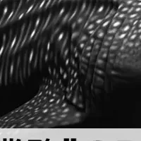 GenOCRで業務効率化