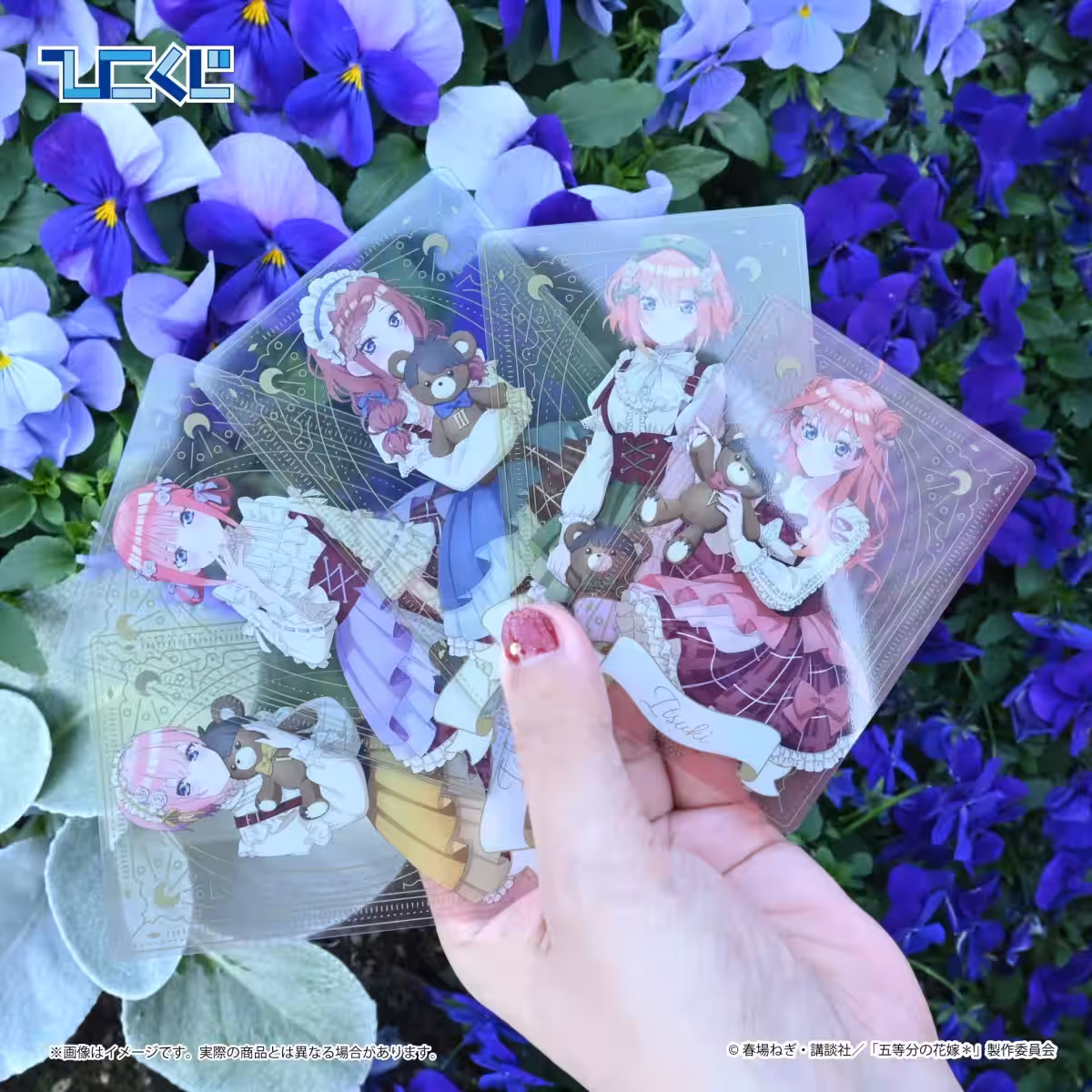 画像14
