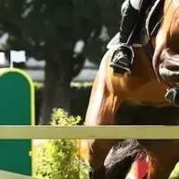 ロロ・ピアーナと馬術