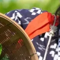丹波篠山茶まつり
