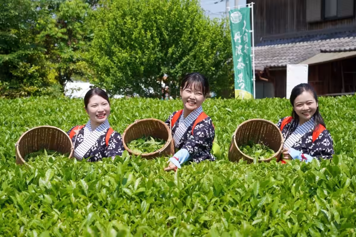 画像7