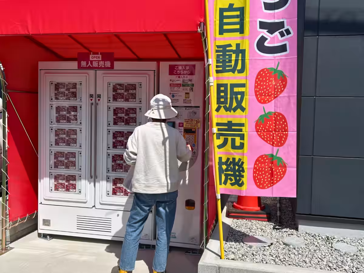 画像5