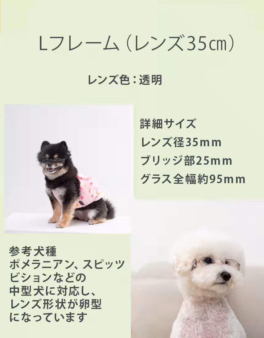 画像11