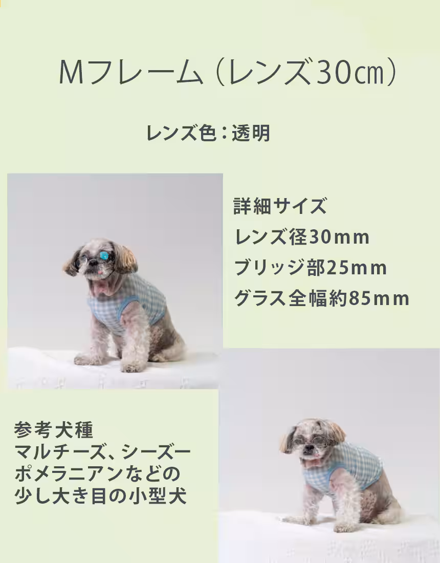 画像10