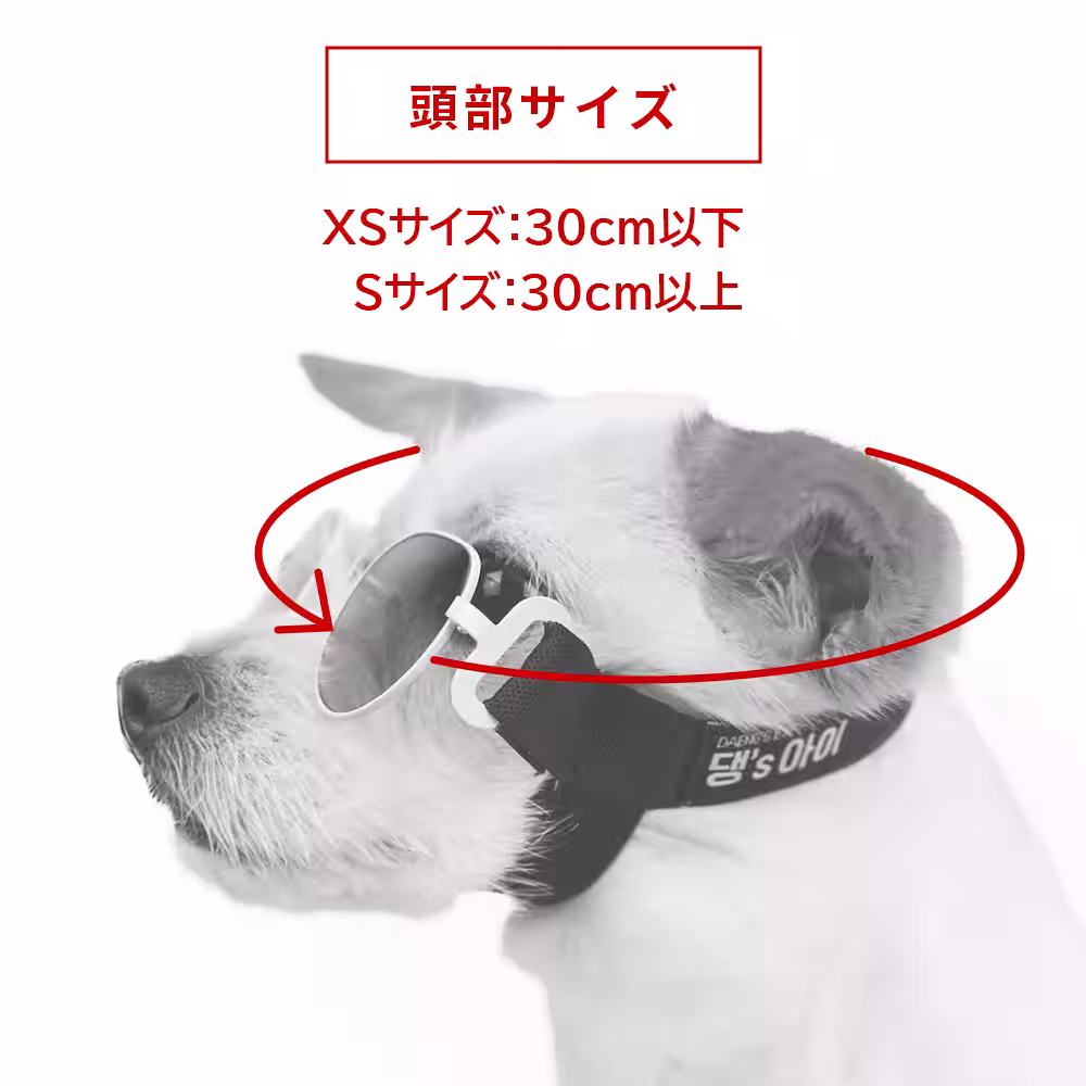 画像13