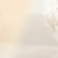 犬専用UVサングラス