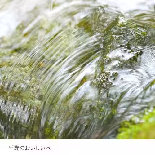 画像8