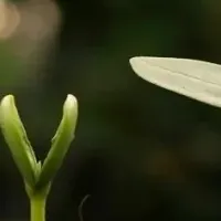 神戸市の中小企業支援