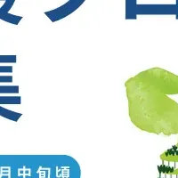 HATSU鎌倉の募集