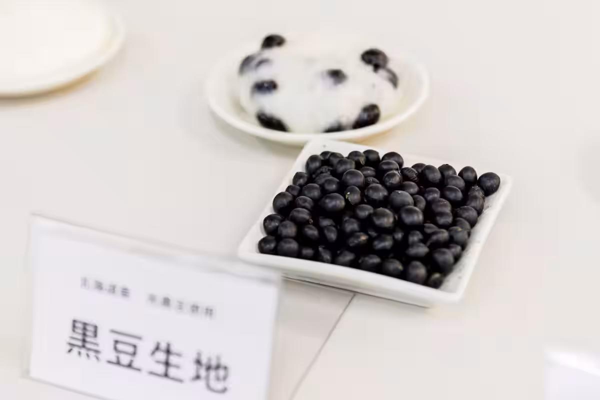 画像9