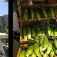 親子で楽しむマルシェ