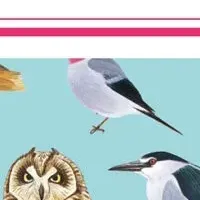 おしゃれ野鳥図鑑