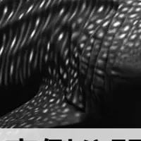 GenOCRで経費精算効率化