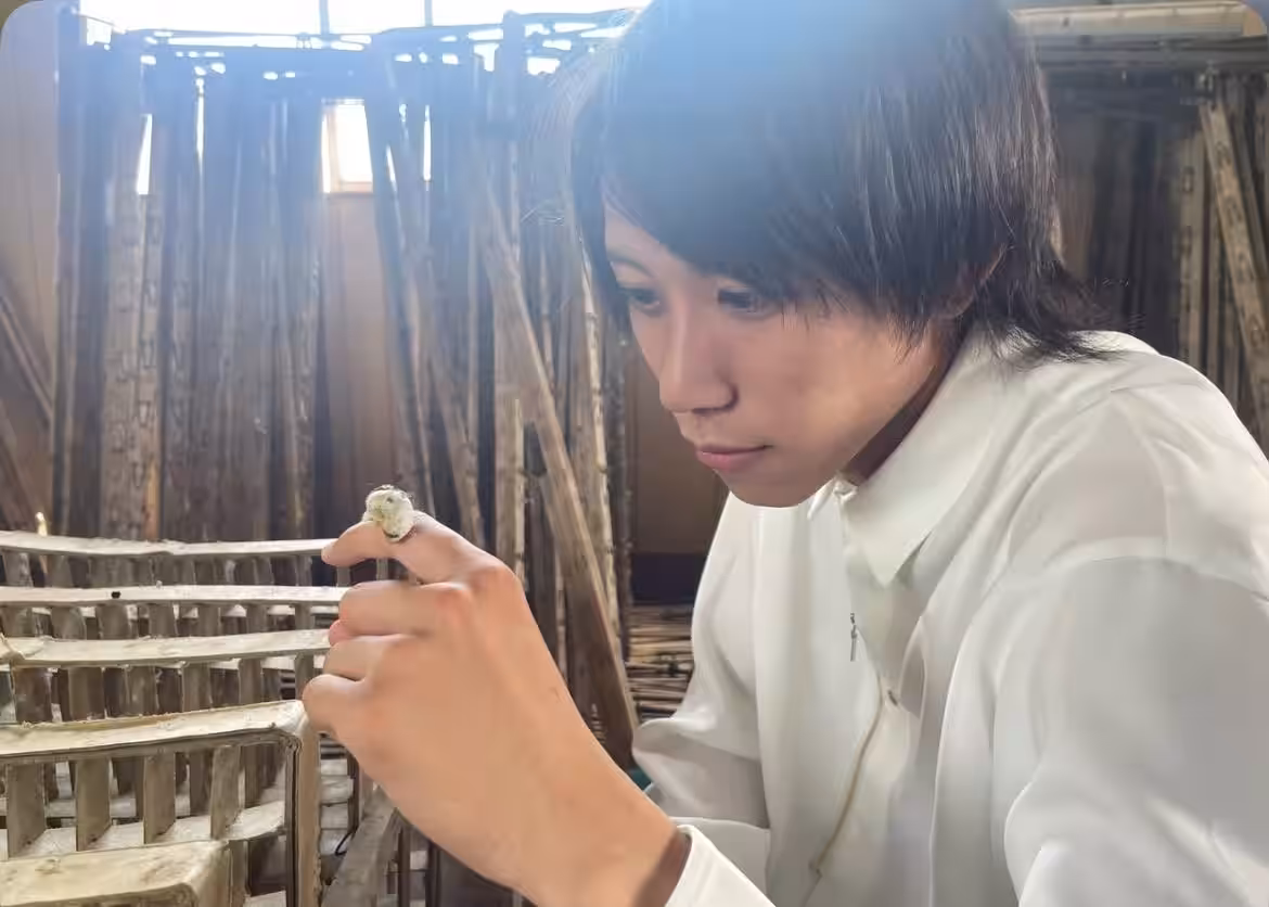 画像6