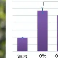 エンメイソウの力
