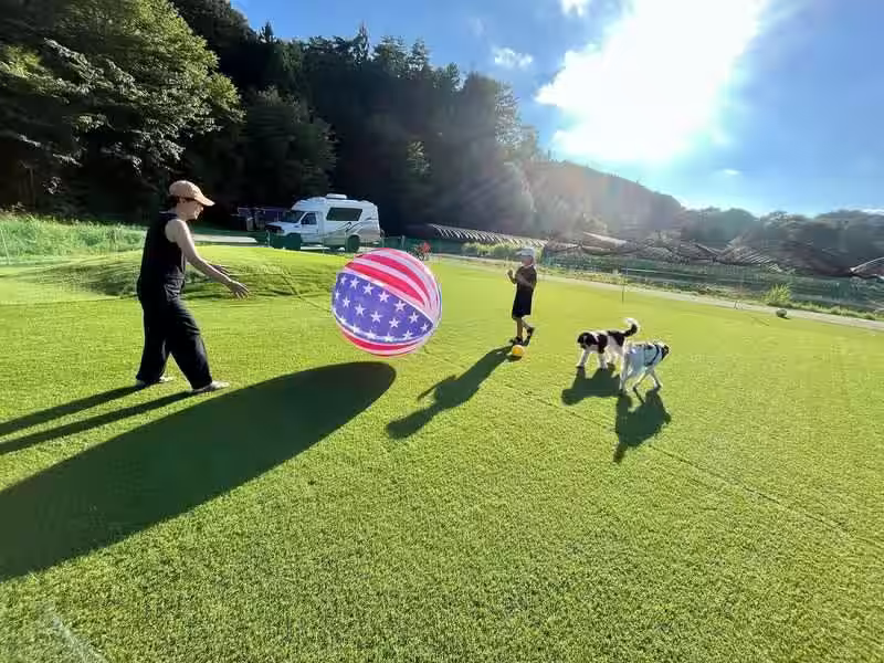 画像9