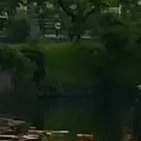 花しょうぶまつり