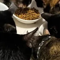 ホーリーハウスの魅力