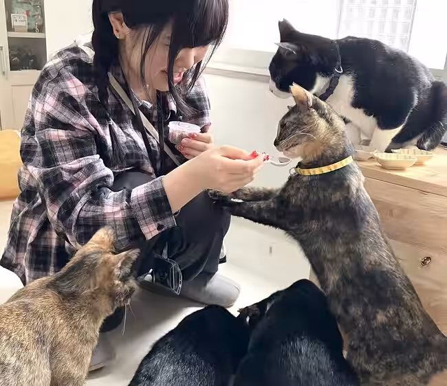 画像26