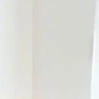 手軽にスムージー！