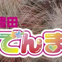 豊田花火大会駐車場