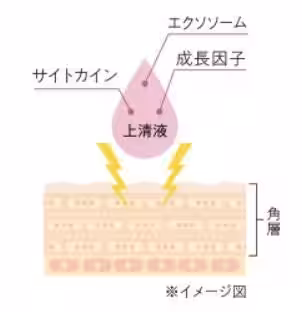 画像15