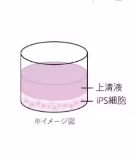 画像14