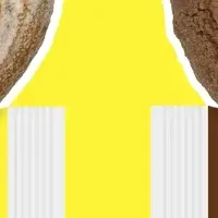 ミッフィー新ドーナツ