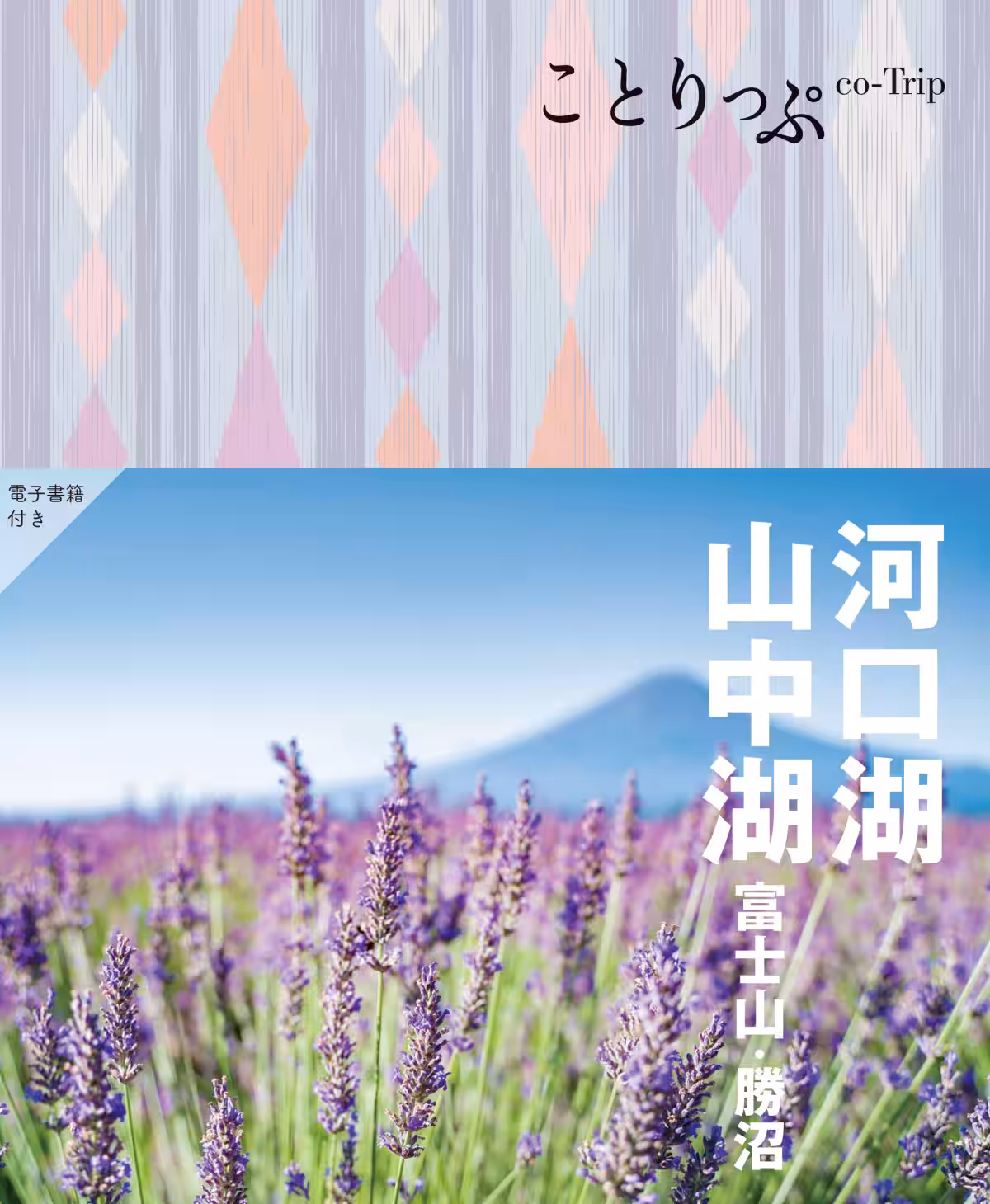 画像13