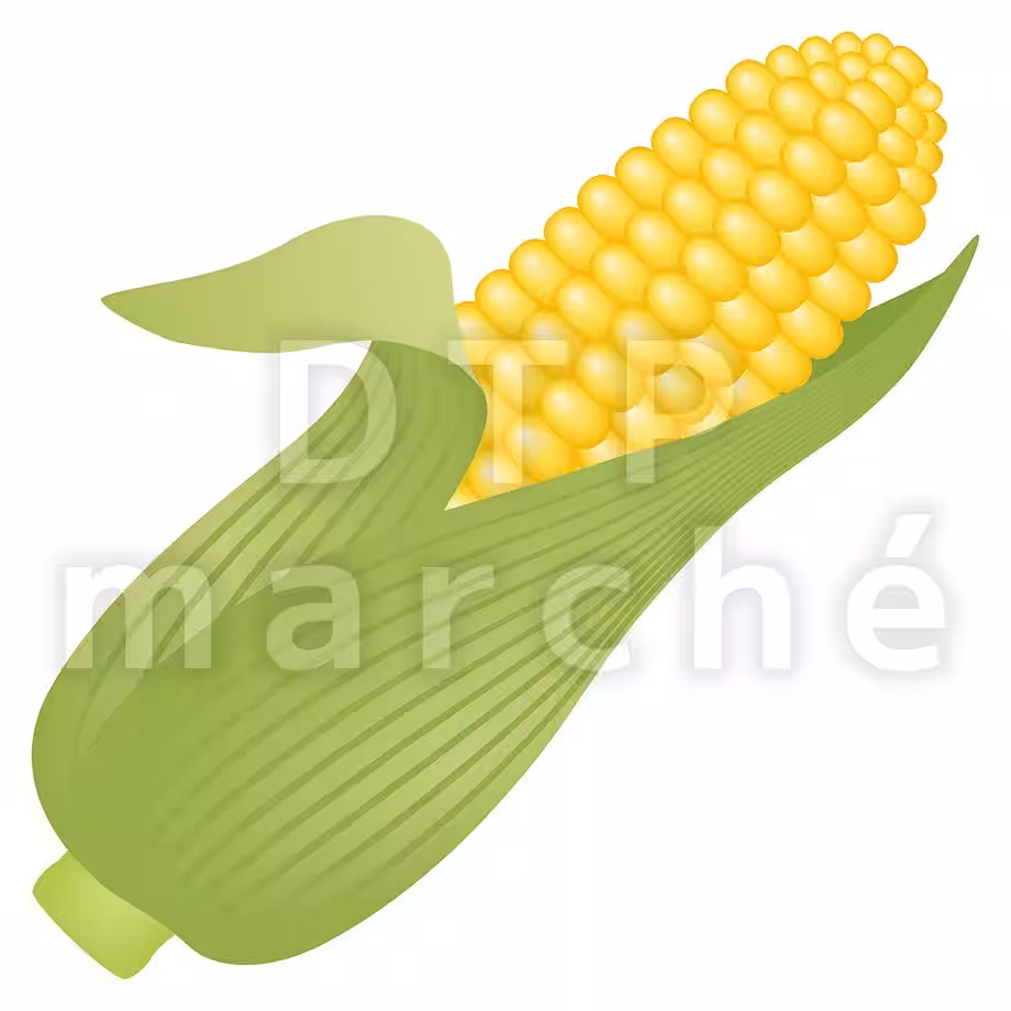 画像11