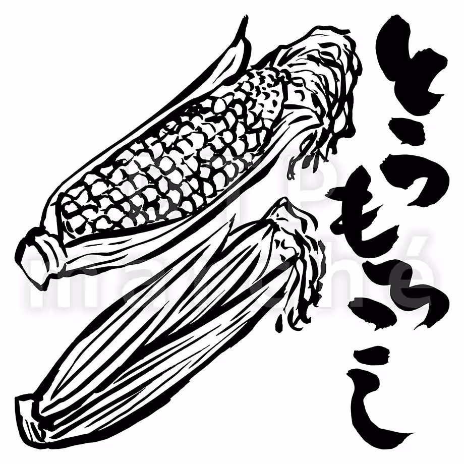 画像12