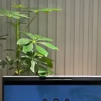 緑で働く環境を