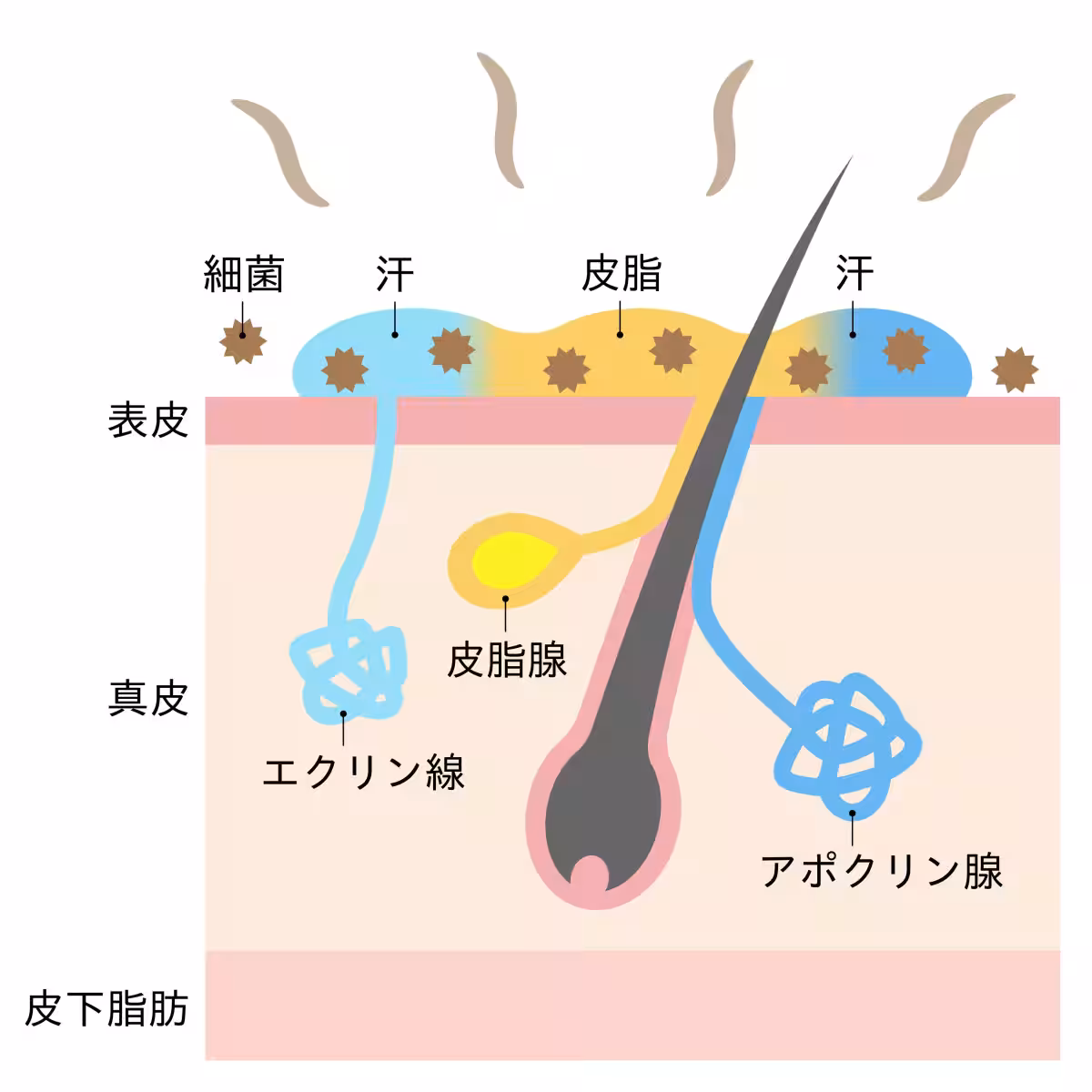 画像12