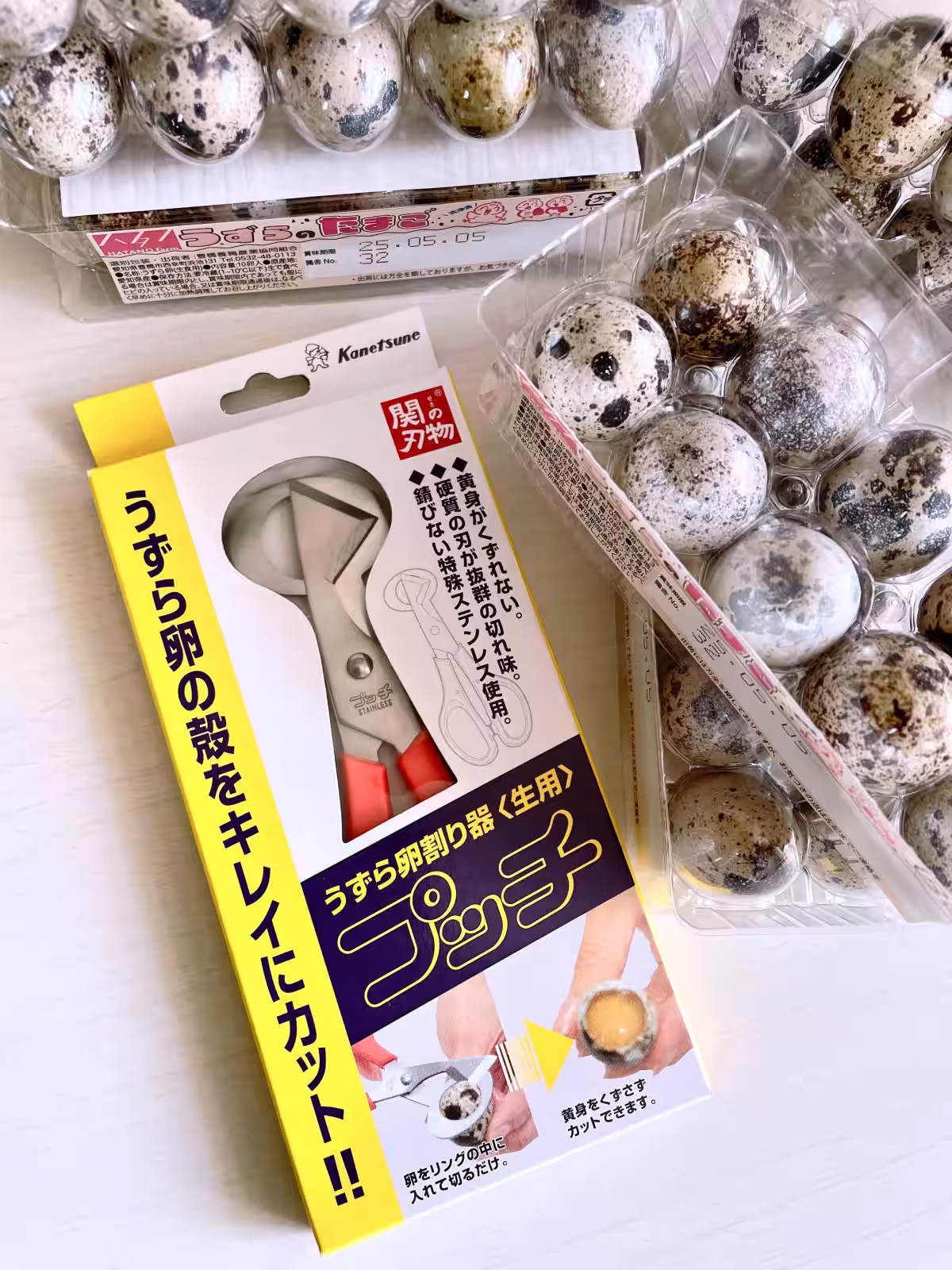 画像9