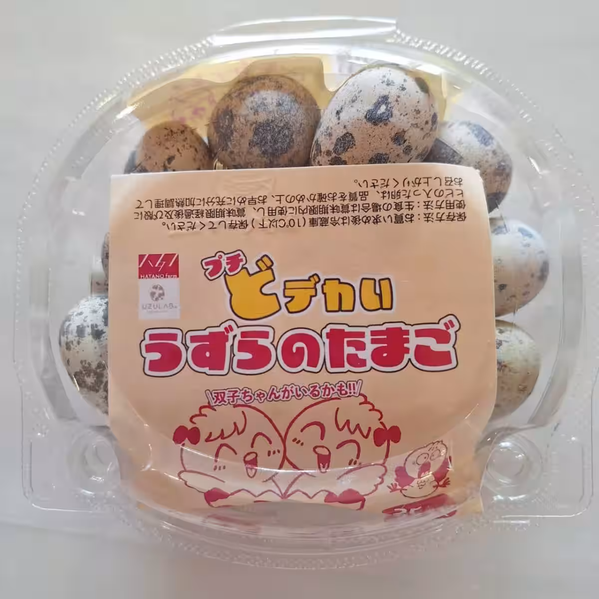 画像17