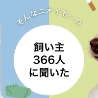 犬の匂いランキング