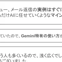 Gemini Boost Camp