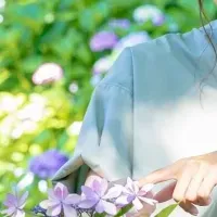 紫陽花と古都の宿泊
