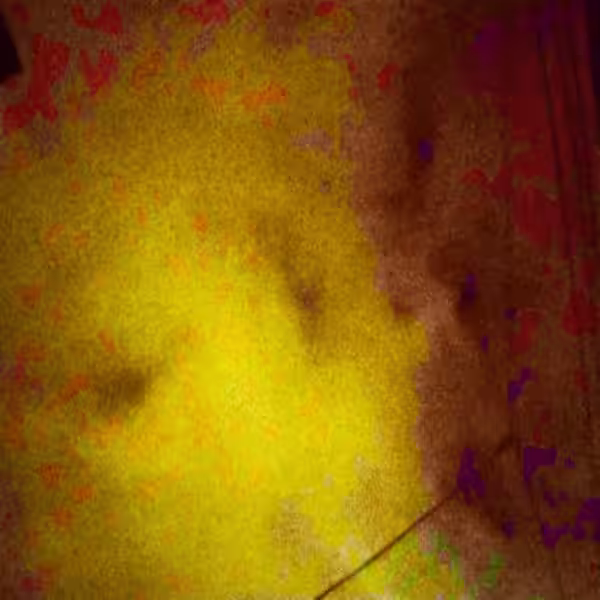 画像12