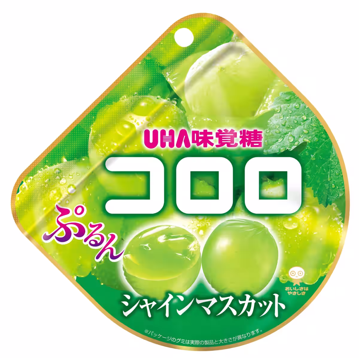 画像4