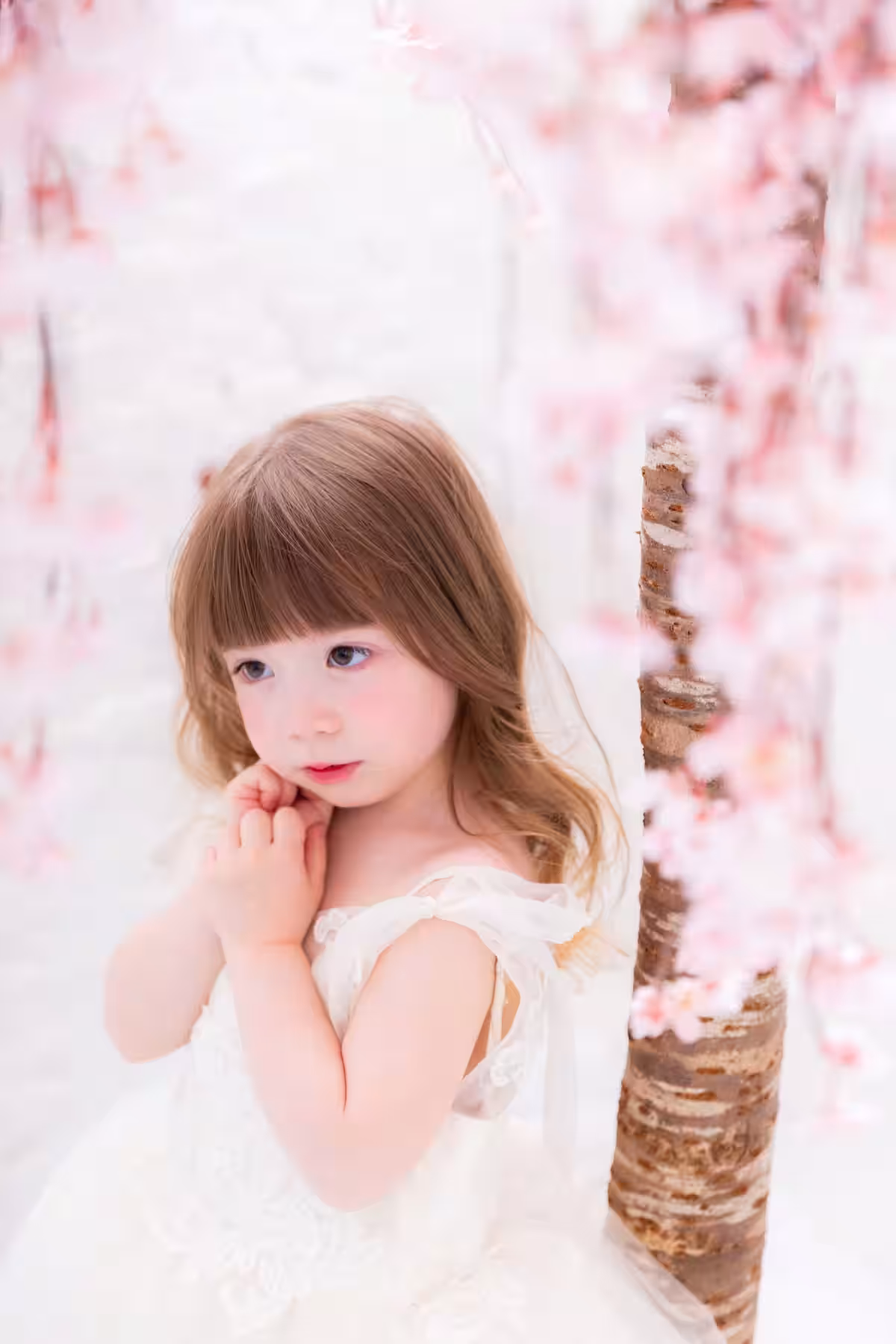 画像12