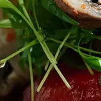 MUSHROOM TOKYO 夏の特別企画