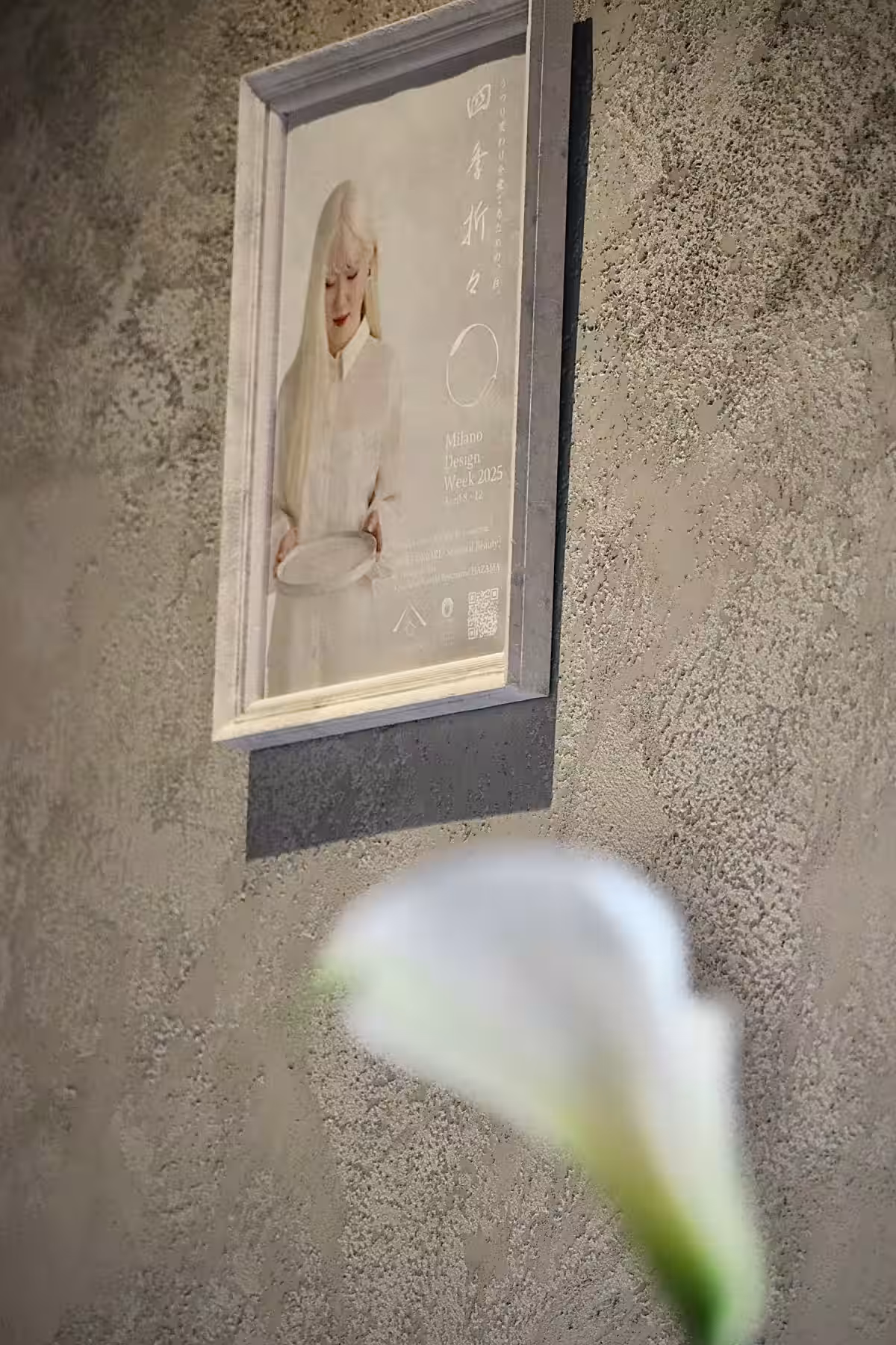 画像17