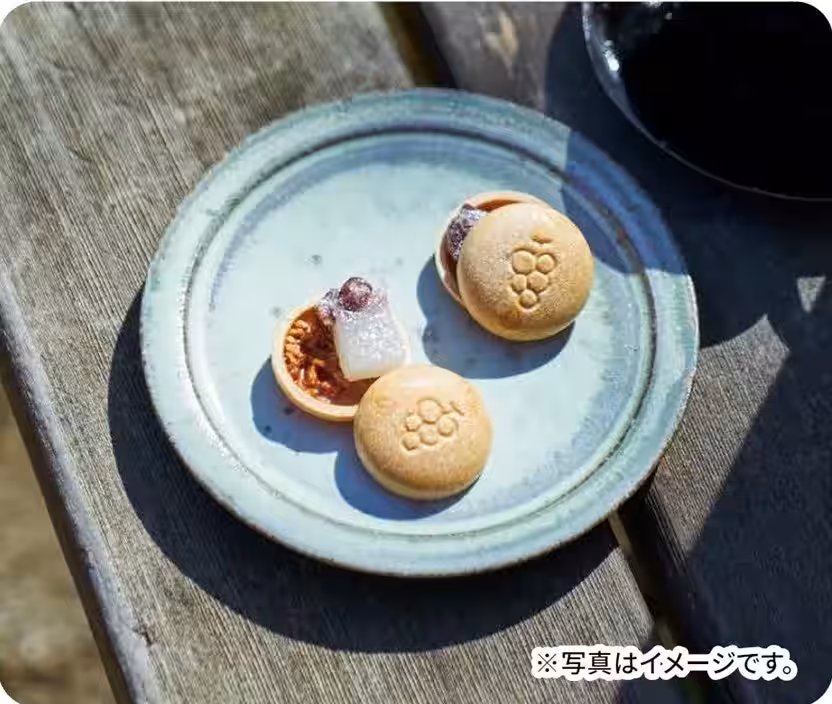 画像14