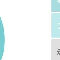 美容家が注目する歯