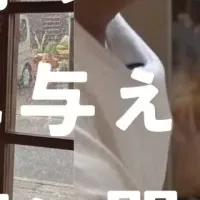 梅雨時のロスパン問題