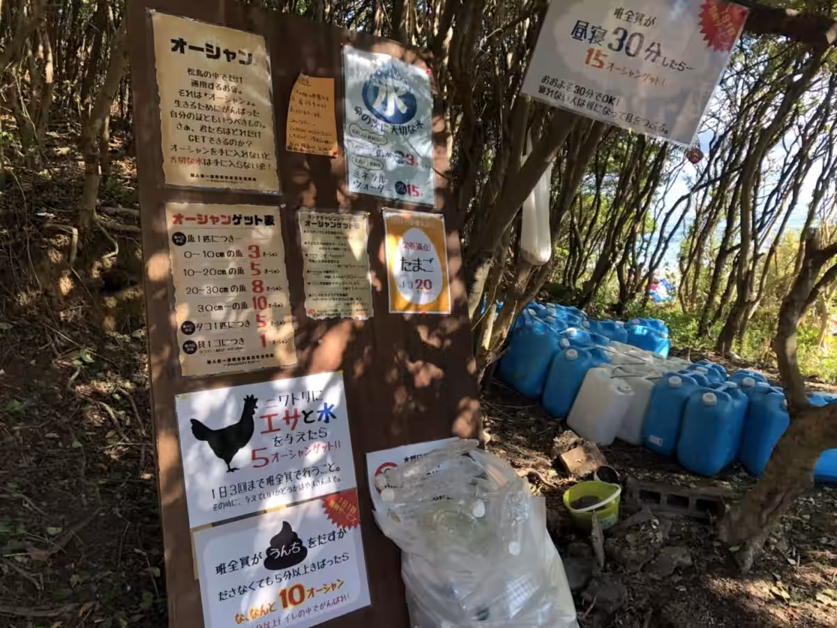 画像5