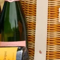 富士山麓でピクニック