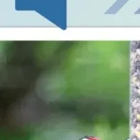 MyEditが動画AIを強化